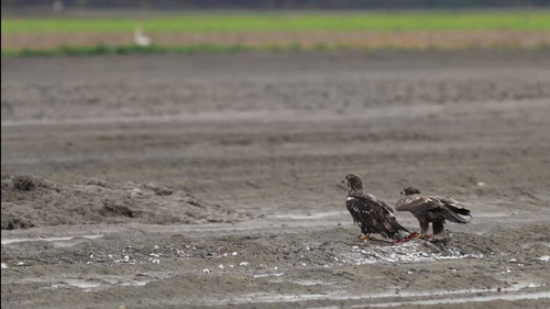 B9piLmLfEgZq 0Nx.jpg