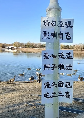 92c8b889 f069 4fb2 814f 492b4a171a6b.png