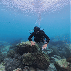 Underwater hand signal Go Up