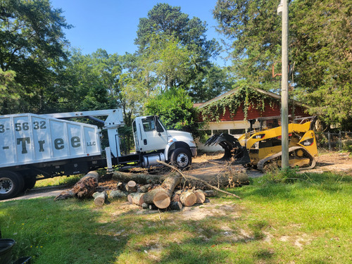 Arborist Grayson.jpg