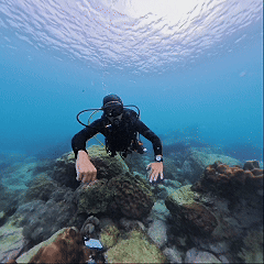 Underwater hand signal Go Down