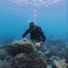 Underwater hand signal Dangerous