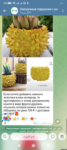 1000219117.jpg