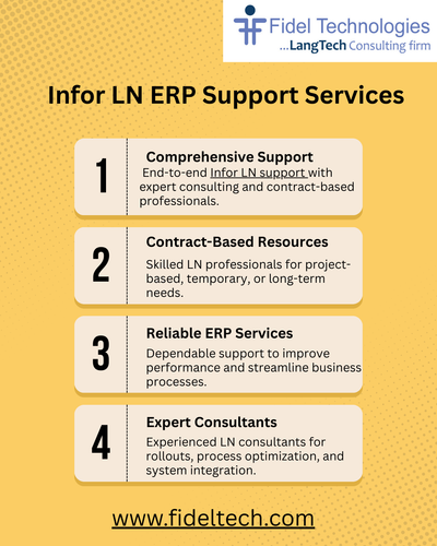 Infor LN ERP Support Services.png