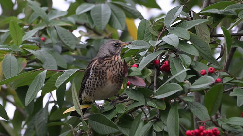 mqay8vRjk 1DtO80.jpg