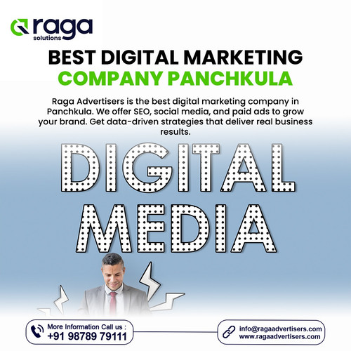 Best Digital Marketing Company Panchkula.jpg