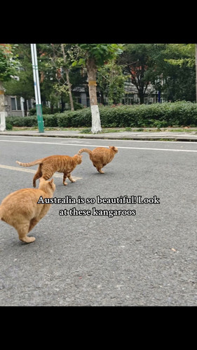 598368035 848647804544149 5023969776329473545 n.jpg