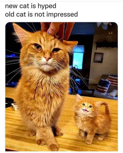 568712986 2616231402076082 5495488287408684956 n.jpg