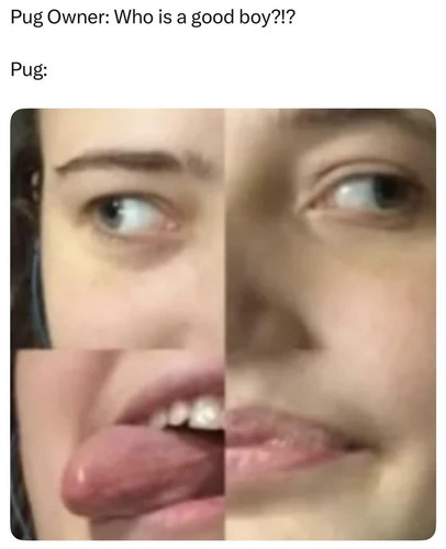597749478 1159957829587796 3067556864907371238 n.jpg