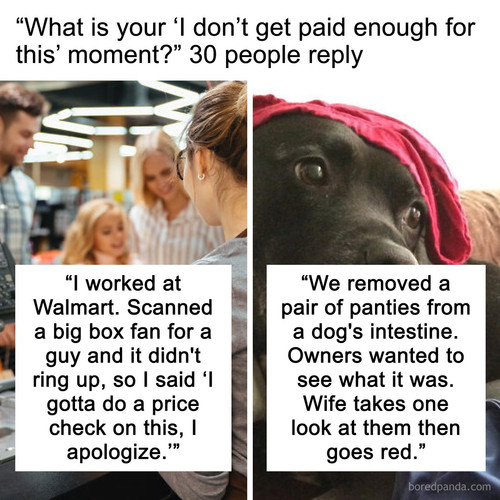 537c210a 0f08 4c9e 89f1 04916a2a5e15.jpg