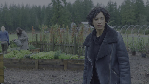 frame1.jpg