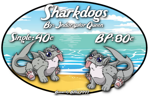 sharkdogs