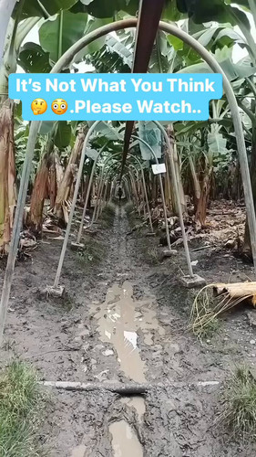 2FK1 ADEO1hIkaeZ.jpg