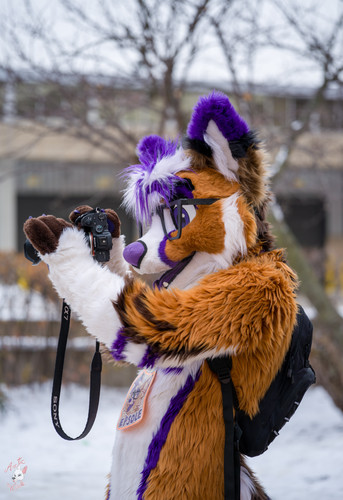 20251206_145730_00023 [X2D II 100C & XCD 90V].jpg