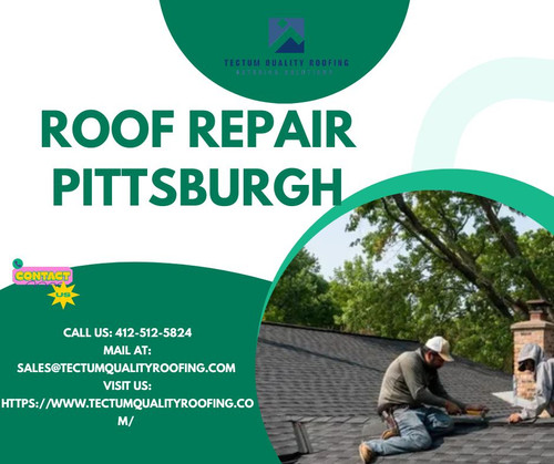 Expert Roof Repair Pittsburgh Tectum Quality Roofing.jpg