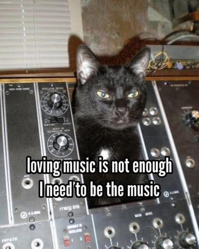 500269378 734932792526612 8116876111039234939 n.jpg