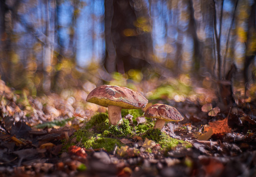 DSC04841 1.jpg