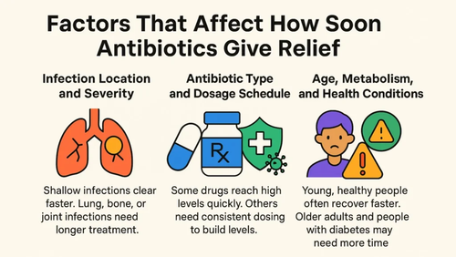 Factors That Affect How Soon Antibiotics Give Relief.png