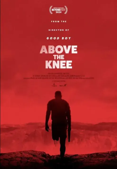 Amputacja / Over kneet (2024) PL.1080p.WEB-DL.H.264-OzW / Lektor PL