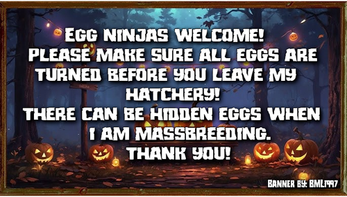 queen of sheba hatchery