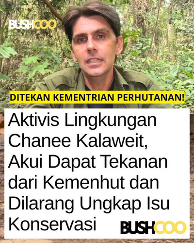 G73eRW bMAE5 gQ?format=jpg.jpg