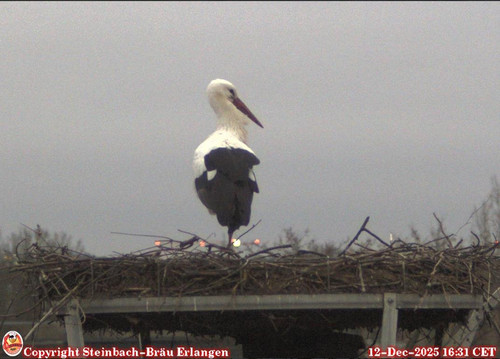 MWSnap140.jpg