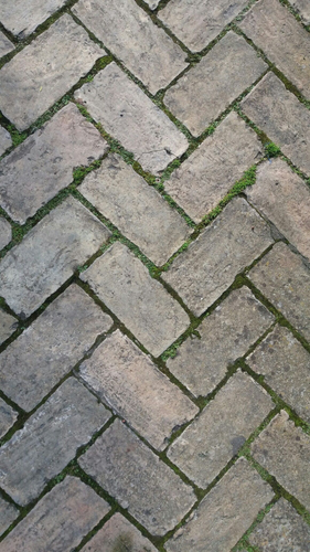 image.png