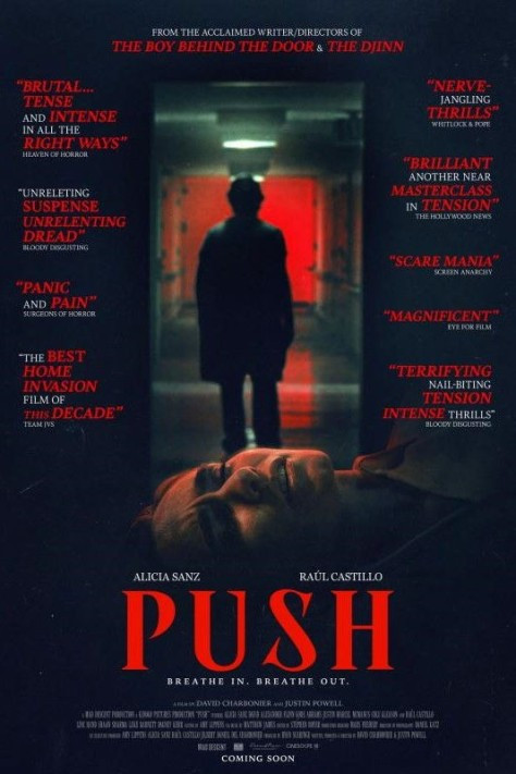 Dziki Lokator / Push (2024) PL.1080p.WEB-DL.H.264-OzW / Lektor PL