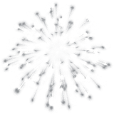 08