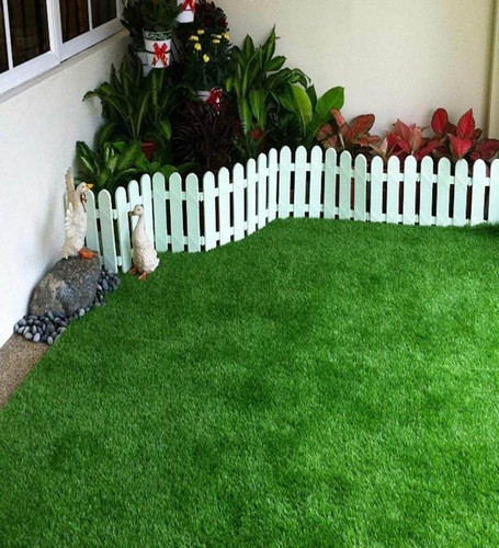 10000 lawn grass seeds for garde.jpg