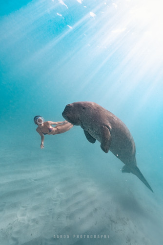 AAR08362 編輯 編輯.jpg