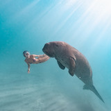 AAR08362 編輯 編輯