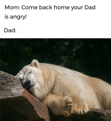 594323306 1441163924685885 4591895500595358091 n.jpg