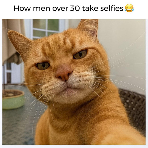 593463449 1438283624973915 7314874025452270033 n.jpg