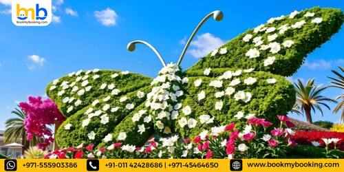 Book Butterfly Garden Dubai Tickets with BookMyBooking.png