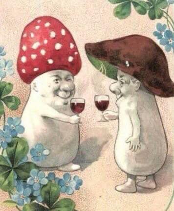 [Image: f7rqDut.jpg]