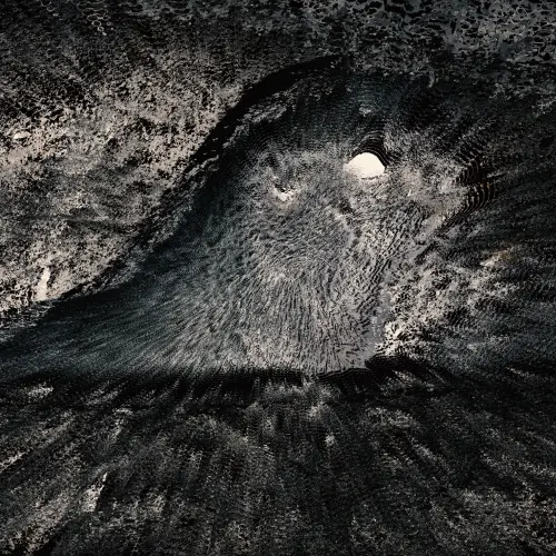 Behauptet Sich Selbst.webp