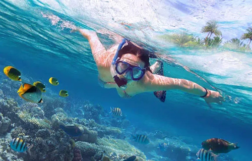 Book Your Coral Island Tour – A Private Escape to Phuket’s Crystal-Clear Waters.jpg