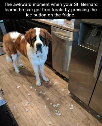 f245626486b4e1d795d878d0628a9a15.jpg