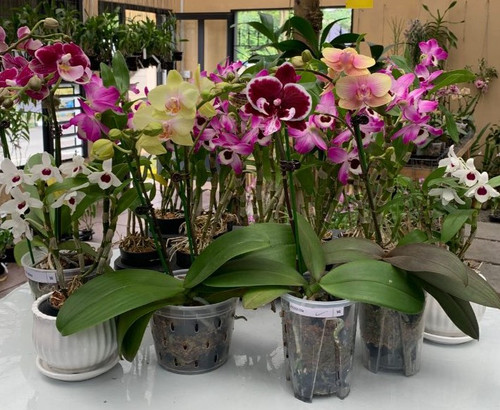 577623733 839660068612626 9218469050227945830 n.jpg