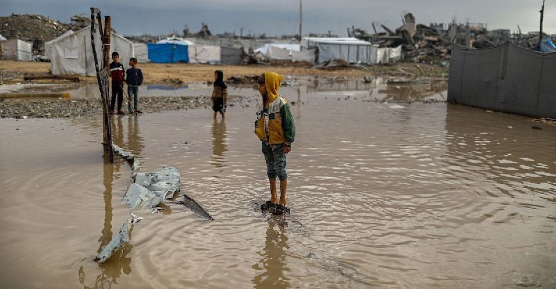 منظمة الأمم المتحدة للطفولة "اليونيسف" تحذر من تزايد مخاطر تفشي الأمراض بين أطفال قطاع غزة، وتدعو إلى تكثيف إدخال المساعدات الإنسانية، خاصة الملابس وا...