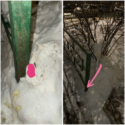 AC9CB200 EB32 4880 8480 80D90EFE01A6.jpg