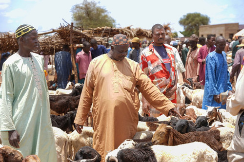 G cqVnHX0AA9gv0?format=jpg.jpg