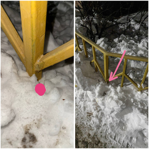 805339CC CA1F 4D65 864D 59A9F6B33EDC.jpg