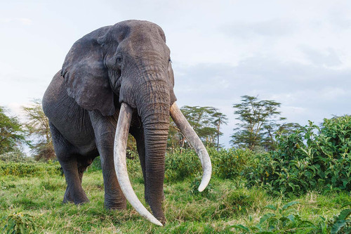 G jxJnsXsAAiNFC?format=jpg.jpg