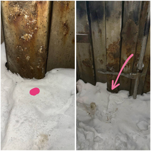 E87D828D CB84 4933 BE43 3CB457228C19.jpg