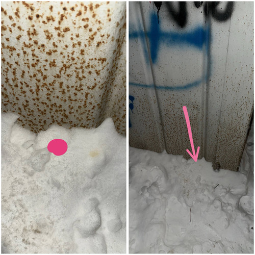 38BB7335 0999 4793 869A BA753CAB754C.jpg