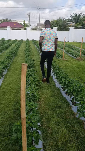qGrz2PLfMfiCviX .jpg
