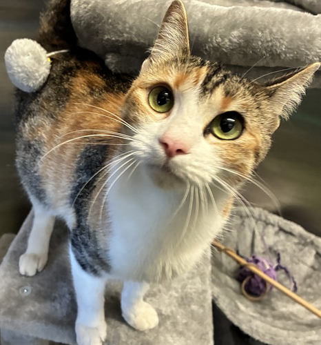 G esF1OWQAApxuK?format=png.png