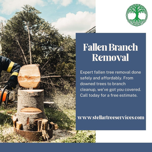 stellartreeservices.jpg